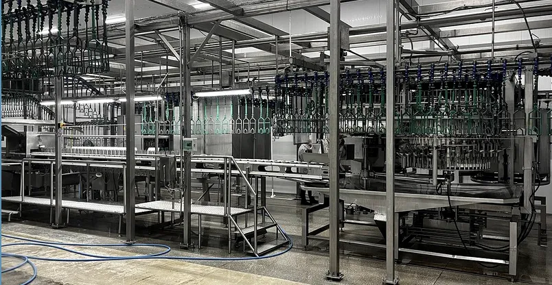 Poultry processing line